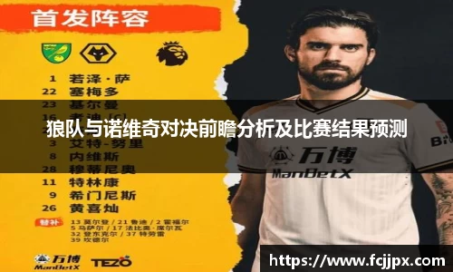 狼队与诺维奇对决前瞻分析及比赛结果预测